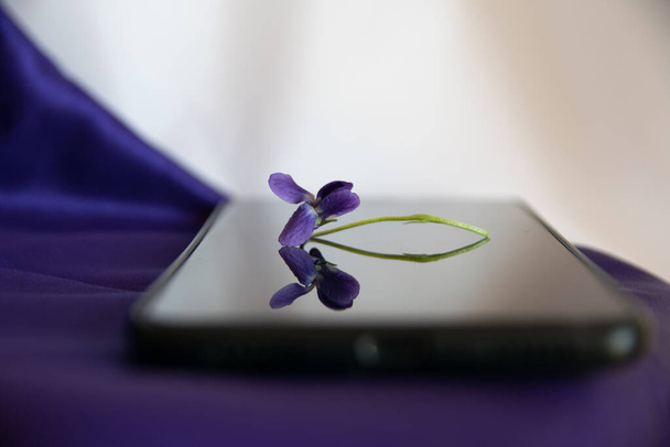 春の紫色の花を背景にした色のドレープレイヤード - 写真・画像