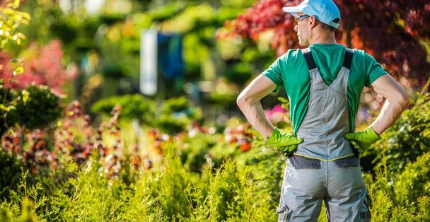 Satisfeito jardineiro caucasiano em seus 30 anos na frente de seu jardim quintal. Manutenção de Plantas de Primavera
. - Foto, Imagem