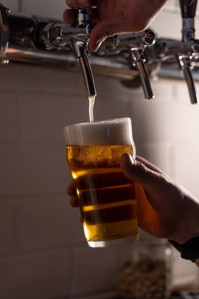 Mann gießt hellgoldenes Bier in ein Glas aus dem Bierhahn, gießt mit weißem Bierschaum auf, schließt die Hände - Foto, Bild