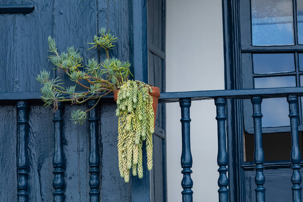 Відомі стародавні барвисті балкони, прикрашені квітами. Санта - Крус - столиця острова Ла - Пальма (Канарські острови, Іспанія).. - Фото, зображення