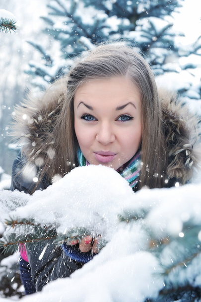 Young beautiful girl in winter - 写真・画像