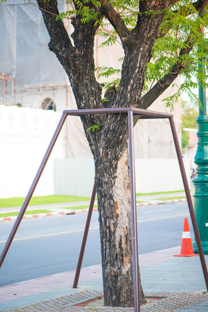 Árvore de suporte de tubo de aço no jardim
 - Foto, Imagem
