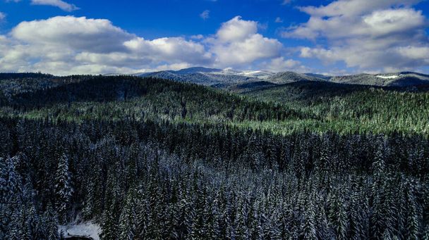 Хвойные сосновые леса Горы Карпаты Аэрофотосъемка снег. - Фото, изображение