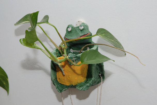figurines en argile de hiboux en écharpes et une d'une grenouille
 - Photo, image