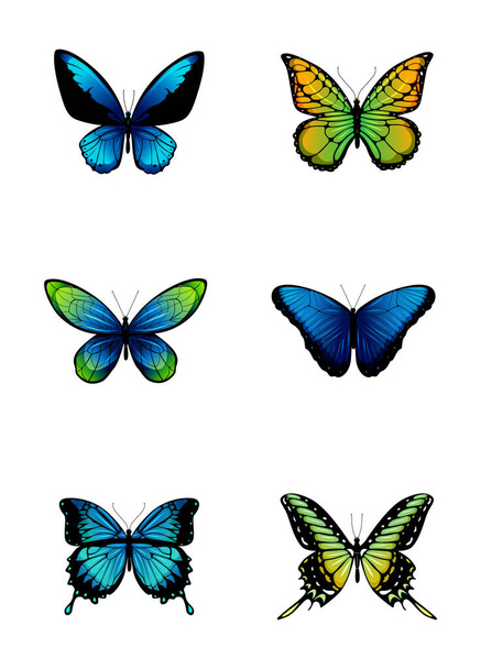 Värilliset perhoset kokoelma
. - Vektori, kuva