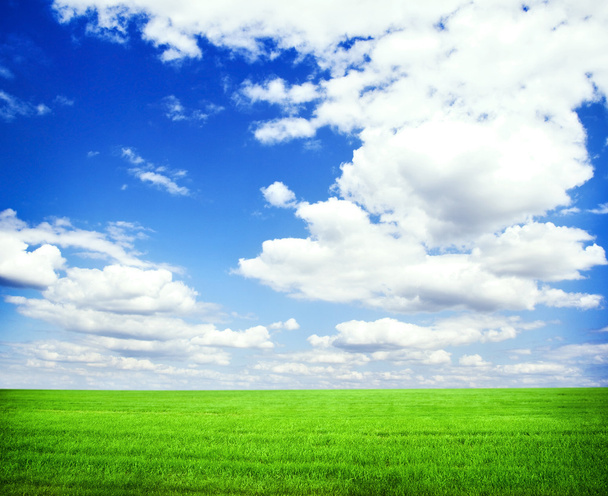 Beau champ vert du matin avec ciel bleu
 - Photo, image