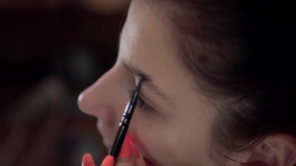 Woman put make up eyebrow, brush for visage, beauty blogger - Video