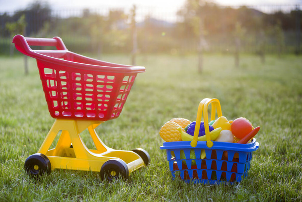 Carrinho de compras e uma cesta com frutas e legumes de brinquedo. Brinquedos coloridos de plástico brilhante para crianças ao ar livre no dia ensolarado de verão. - Foto, Imagem
