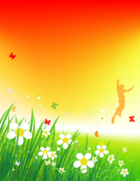 Sunset on green field, summer background - Vector, Image
