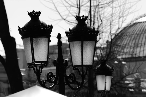 3 wspaniałe uliczne czarne latarnie z wieloma elementami dekoracyjnymi na wystawie w pięknym parku miejskim. - Zdjęcie, obraz