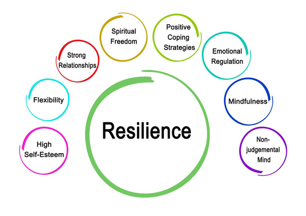 Huit facteurs de résilience - Photo, image