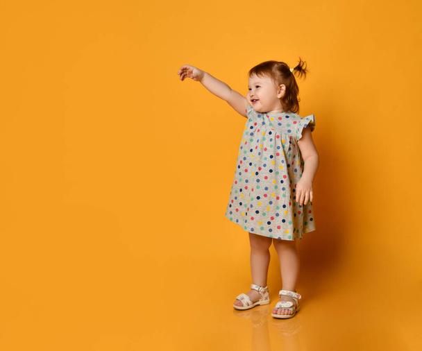 Baby girl in gray polka dot dress, white sandals. Child is reaching her chubby hands to someone, posing on orange background - 写真・画像