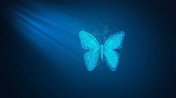 Butterfly consists of a polygon. - Valokuva, kuva