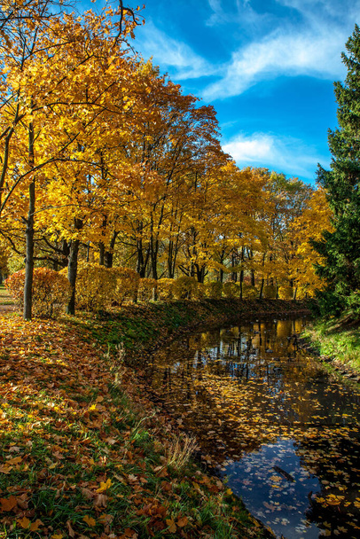 Beautiful autumn colors in the park - Foto, Imagem