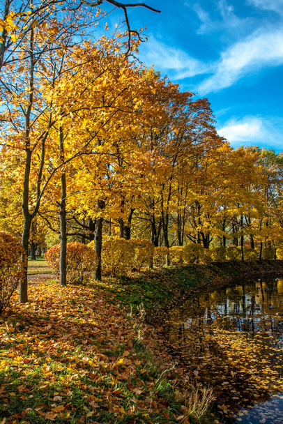 Beautiful autumn colors in the park - Foto, afbeelding