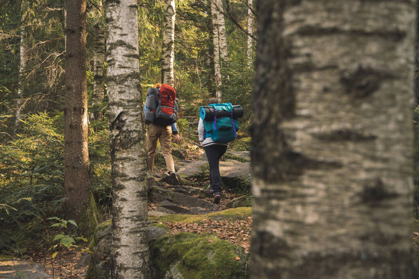 turistika horská turistika skupina lidí batoh dvě ženy chůze zpět na kameru v malebném horském březovém lese příroda scénický prostředí prostor - Fotografie, Obrázek