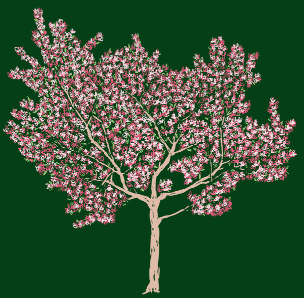 Disegno vettoriale a mano libera di ciliegio fiorito
 - Vettoriali, immagini