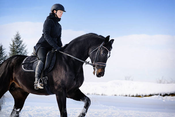 Horseback riding. Winter training - 写真・画像
