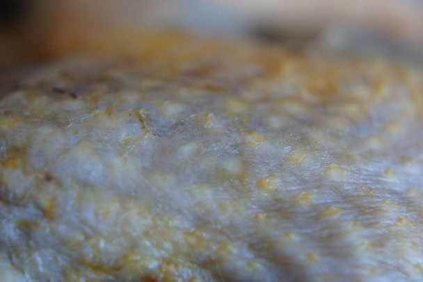 A pele de um frango em close-up
. - Foto, Imagem