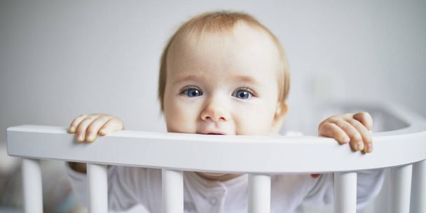 Adorable baby girl in co-sleeper crib attached to parents bed. Little kid sitting in cot - Foto, Bild