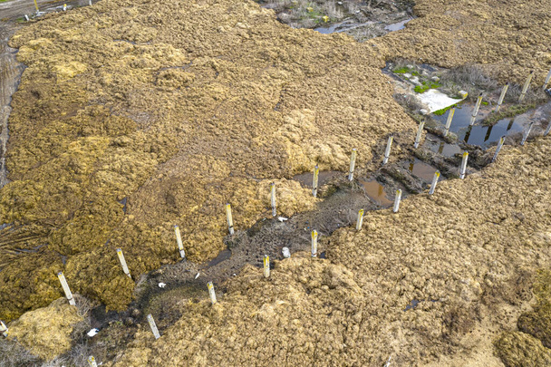 Blick von einer Drohne auf ein Lager mit organischen Abfällen von einer Rinderfarm. Die Gülle wird in speziell dafür vorgesehenen Bereichen gelagert, um die Viskosität des organischen Düngers weiter zu verwenden.. - Foto, Bild