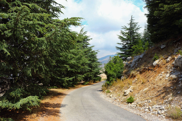 Vista de la curvada carretera asfaltada en las zonas rurales de Arez al Barouk en el Líbano. - Foto, imagen