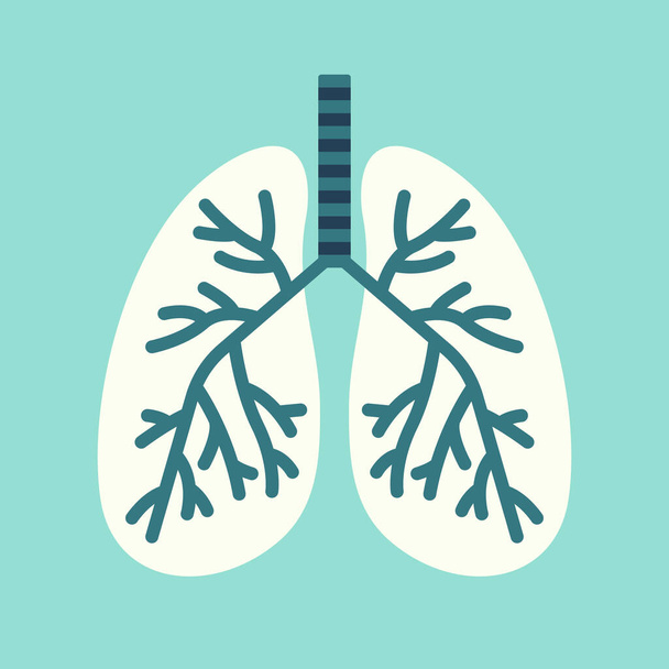 Illustrazione vettoriale di polmoni isolati
 - Vettoriali, immagini