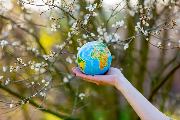 woman hand holds Earth globe in blooming cherry garden in sunset time - Photo, Image