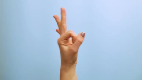 vrouwelijke hand toont verschillende gebaren op een blauwe achtergrond... - Video