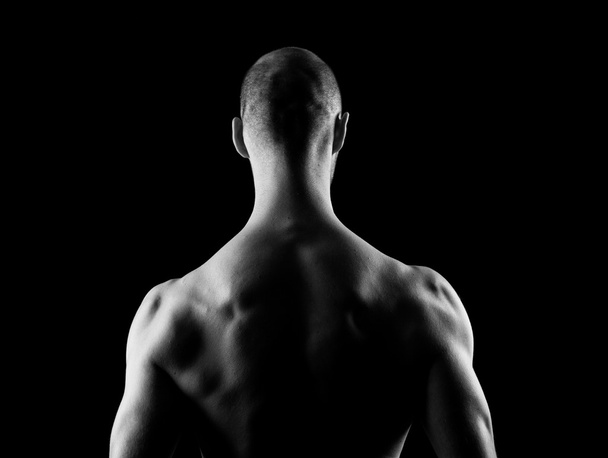 Rückenmuskulatur des Mannes - Foto, Bild