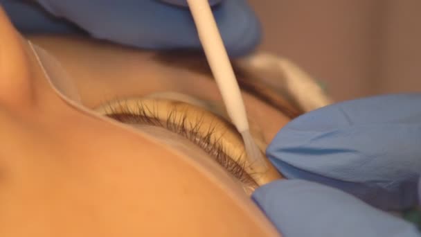Professional change in the shape of female eyelashes in a beauty salon - Footage, Video