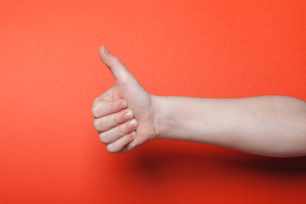Child hand shows thumb up on red background - 写真・画像