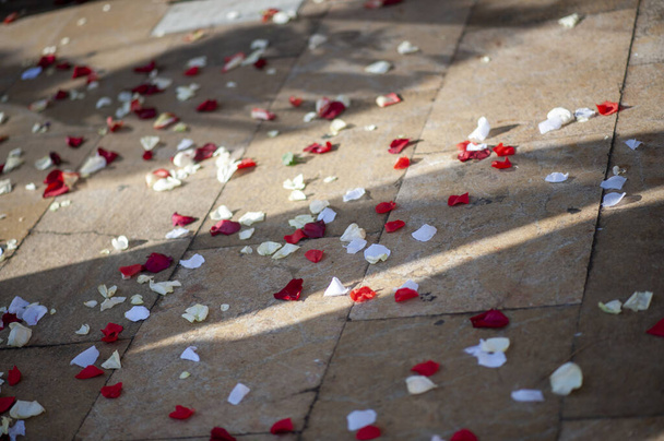 Weiße und rote Rosenblätter auf dem Boden - Foto, Bild