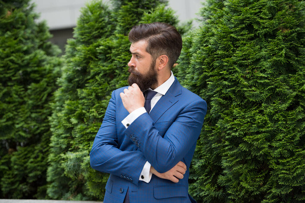 Menswear clothes. energy efficiency concept. bearded man in jacket near cypress tree. handsome man smartly dressed. ceo walk in street. Business man walking outdoor. Businessman In Nature - Photo, Image