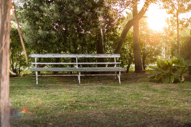 Foto en stock de Banco vacío en un jardín durante una puesta de sol con una luz increíble
 - Foto, Imagen