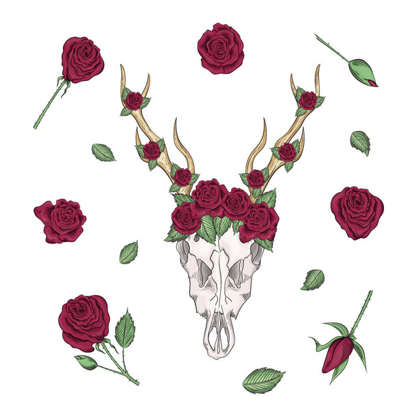 Cráneo de ciervo místico occidental vector bohemio, flores de rosas estampadas. Cabeza de ciervo bohemio, animal de vendimia occidental. impresión de diseño hipster bohemio
. - Vector, Imagen