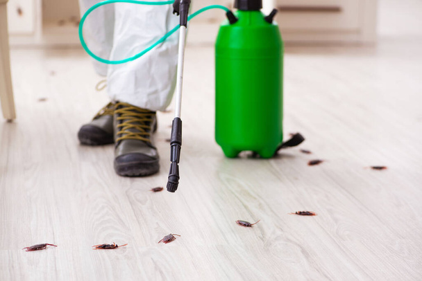 Young male contractor doing pest control at home - Foto, imagen