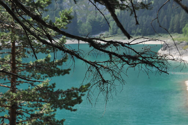 Lago Negro nas montanhas Durmitor perto de Zabljak. Um lugar bonito em Montenegro
 - Foto, Imagem