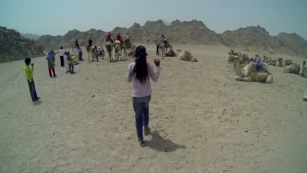 Reisen durch Landschaften in Ägypten - Filmmaterial, Video