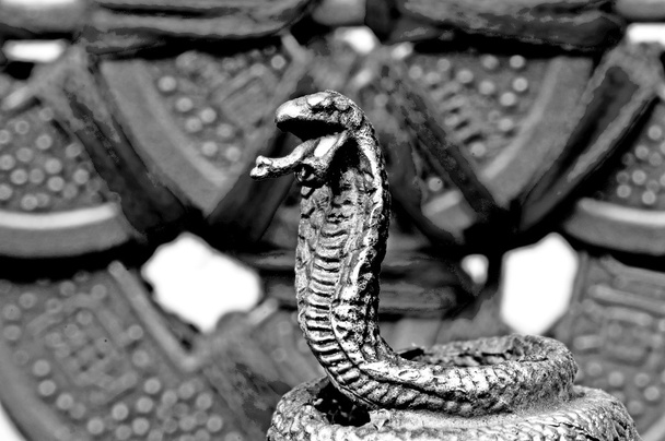Feng shui yılan yılı - Fotoğraf, Görsel