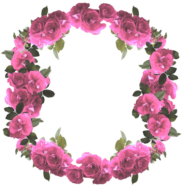 Květinový kulatý rám s růžovými a fialovými růžemi se zelenými listy na foto karty - Fotografie, Obrázek