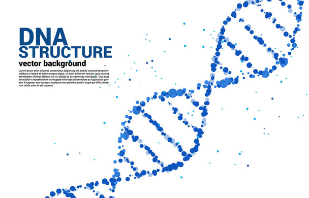 ドットランダムからのベクターDNA遺伝子構造。バイオテクノロジーと生物学の背景概念は. - ベクター画像