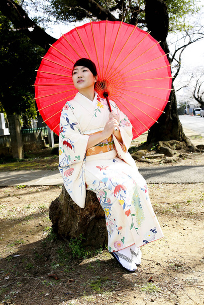 Πορτρέτο Γιαπωνέζα που φοράει λευκό κιμονό στον κήπο με τα άνθη κερασιάς στο Τόκιο της Ιαπωνίας. - Φωτογραφία, εικόνα