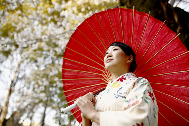 Portrait de femme japonaise portant le kimono blanc dans le jardin de fleurs de cerisier à Tokyo, Japon
. - Photo, image