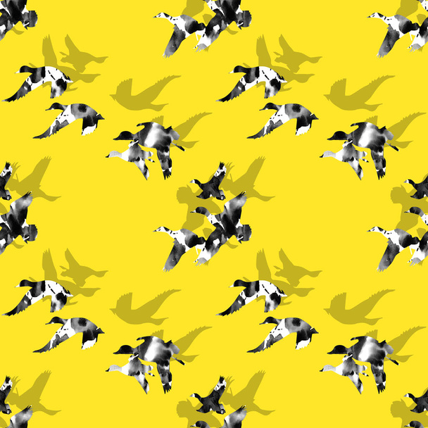 seamless colorful bright pattern with ducks  - Photo, Image