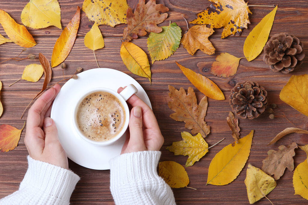 Autumn composition top view. Cup of coffee in the hands and autumn leaves - Foto, Bild