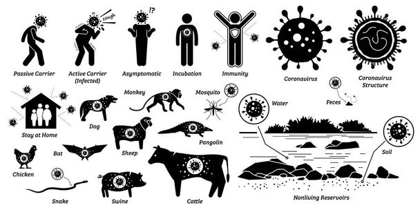 Virustartuntatauti elävissä ja elottomissa organismeissa. Vektorikuvat tartunnan saaneista ihmisistä ja eläimistä flunssan, influenssan ja viruksen vaikutuksesta. Ihmiset ja eläimet ovat koronaviruksen isäntiä ja kantajia.
. - Vektori, kuva