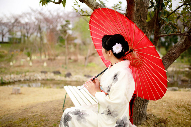 A Japanese woman wearing white kimono holds a red umbrella while enjoys the view of the cherry blossoms in full bloom in Tokyo, Japan. - Photo, Image