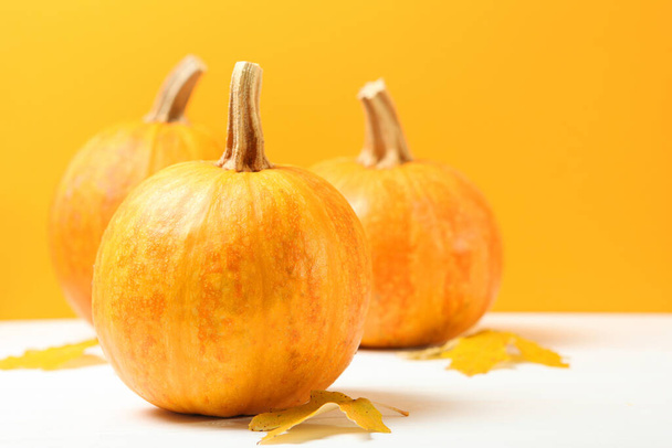pumpkins on a colored background. Thanksgiving background. Autumn background. - Photo, Image