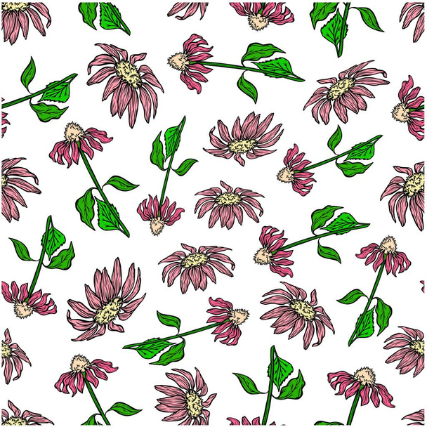 pattern seamless medical plants echinacea flower nature vector background illustration color colored texture textile wrap homeopathic - Vector, Image